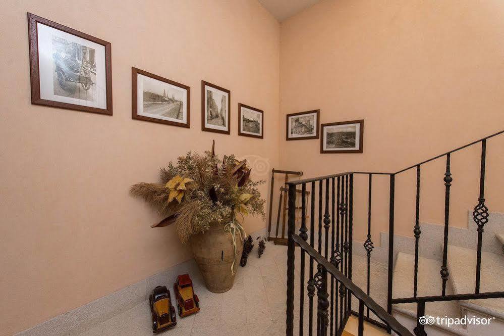 קסטלוצו B&B L'Angolino Della Nonna מראה חיצוני תמונה